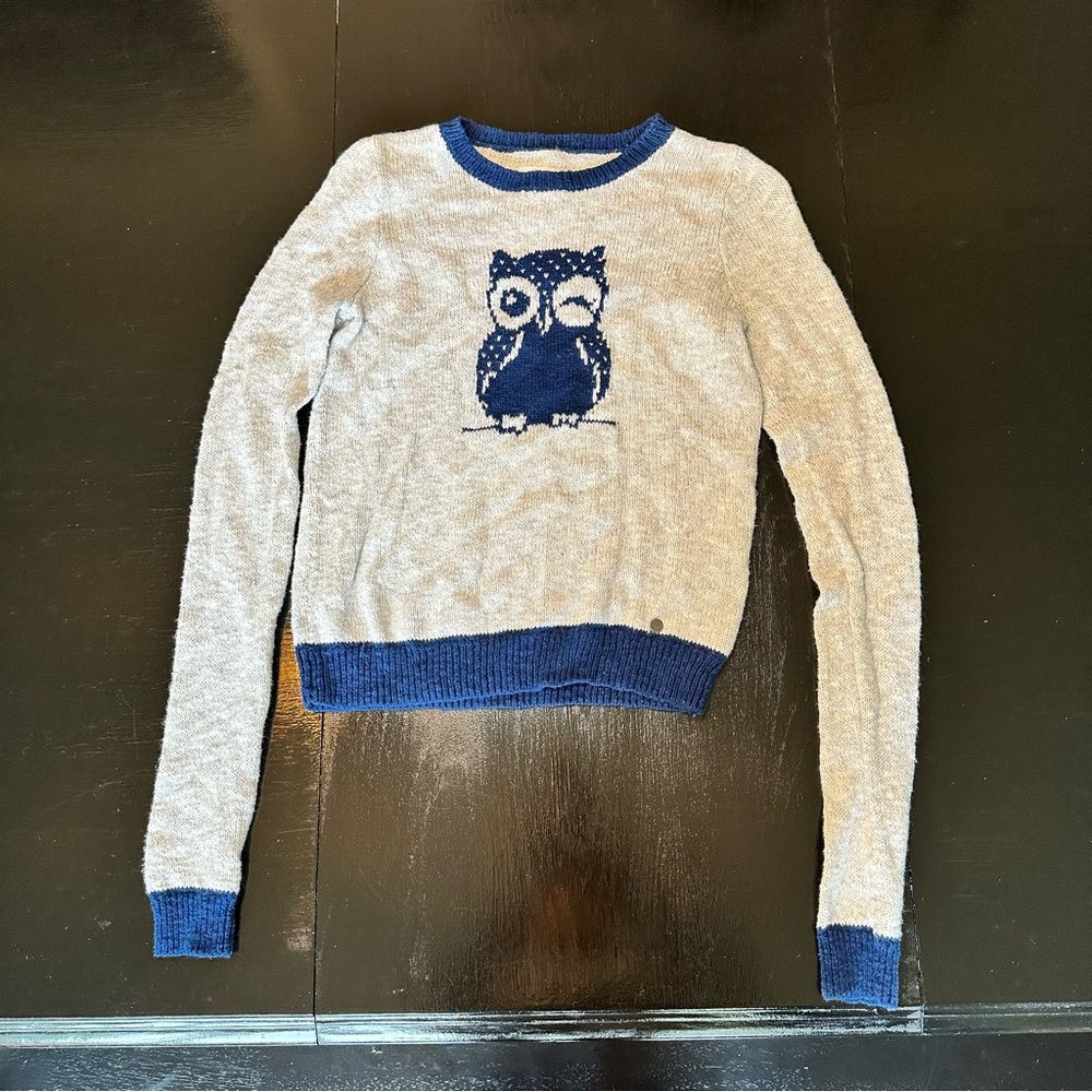 Abercrombie Kids Large Gray and Blue Owl 2010s Retro Knit Longer Length Sleeve
